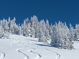 Herrliche Tiefschneefahrt
