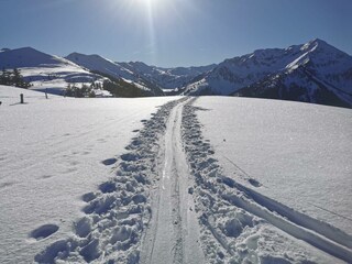 Skitour zur Joelspitze