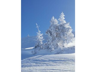 Winterlandschaft am Joel