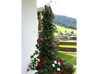 Blumen