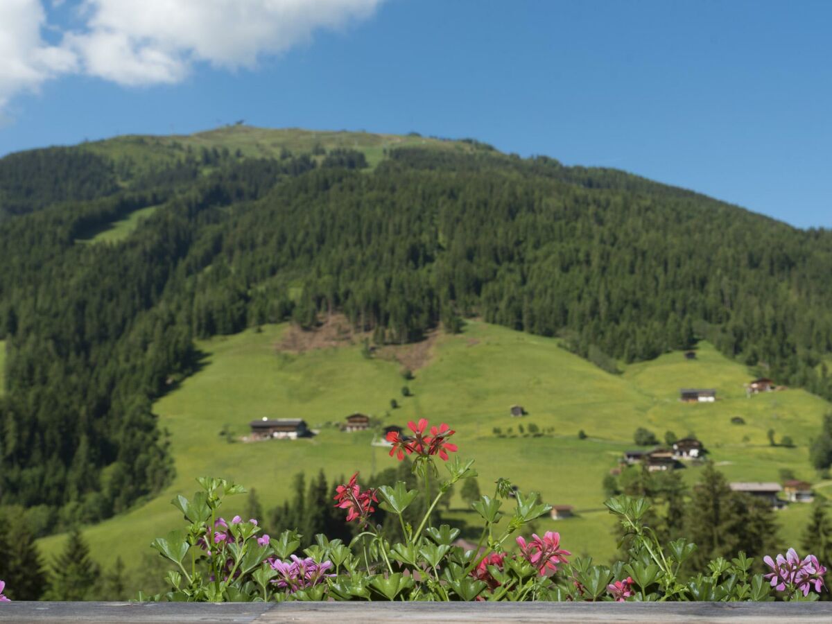 Rosenhof_Alpbach