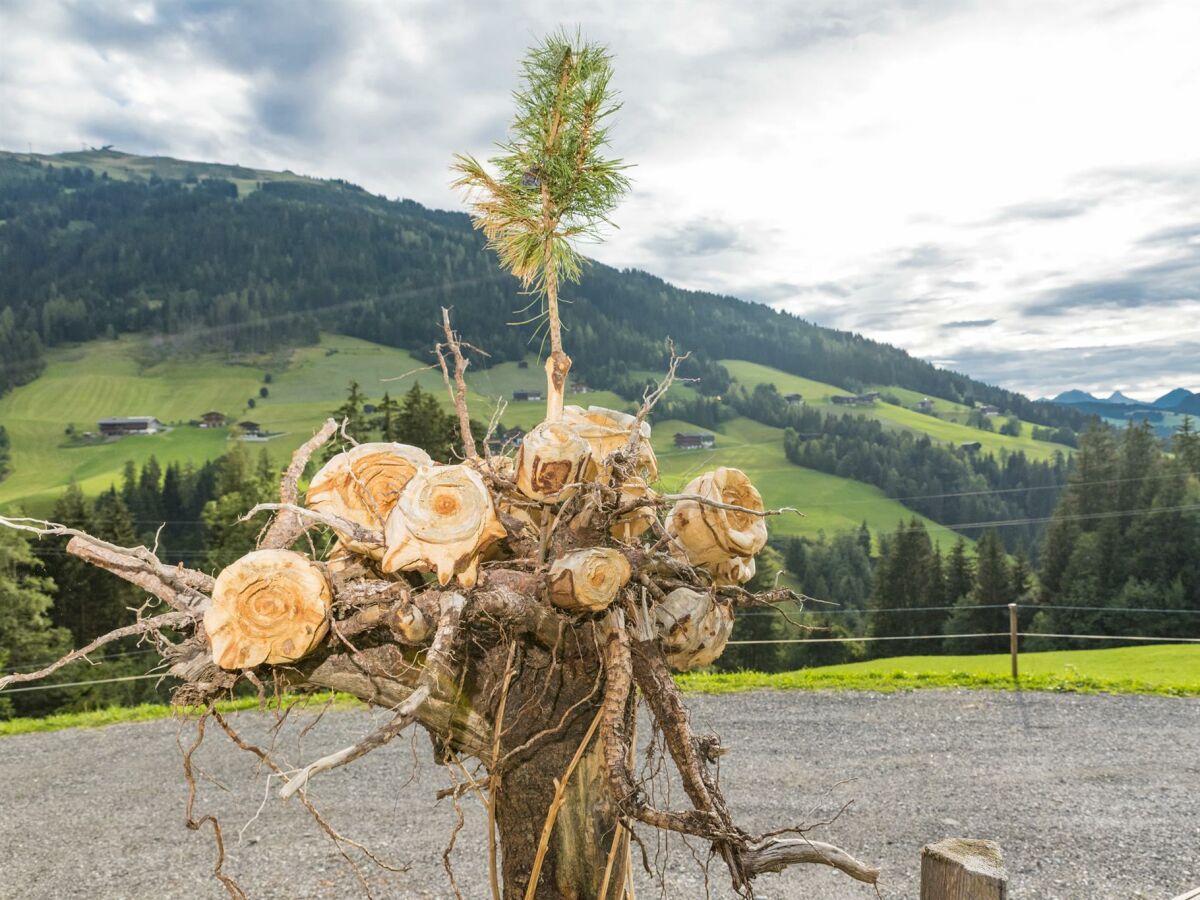 Rosenhof _Alpbach_ Rose