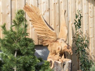 Rosenhof_ Holz_ Alpbach_Adler