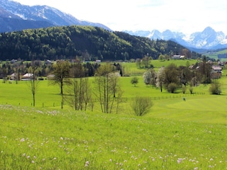 Blütenmeer auf dem Golfplatz