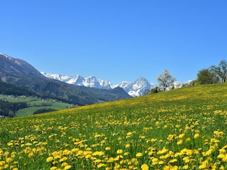 Pyhrn-Priel Frühling