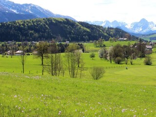 Blütenmeer auf dem Golfplatz