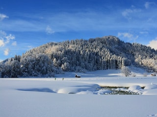 Winterzauber 3