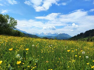 IMG_20220516_130707