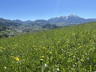 IMG_0838