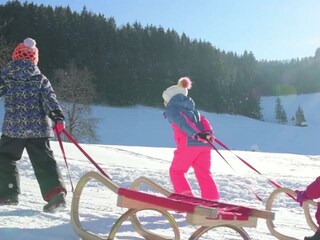 Unterwegs mit dem Schlitten