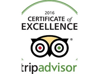 Certificate Tripadvisor