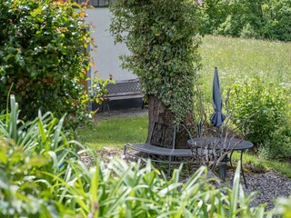 Bild-156