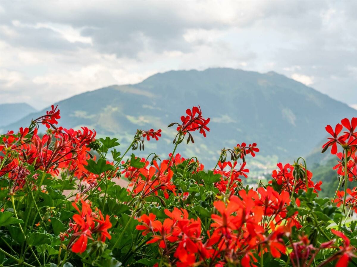 Blick aufs Hochjoch