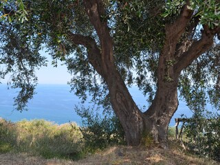 Holiday house Prelà Environment 61