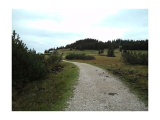 Moorlandschaft