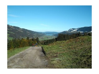 Aussicht vom Hündle zum großen Alpsee