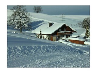 Weihnachtskarte 2012 159