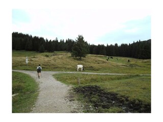 Moorlandschaft am Imberg