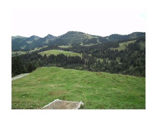 Hochbühl zum Hochgrat