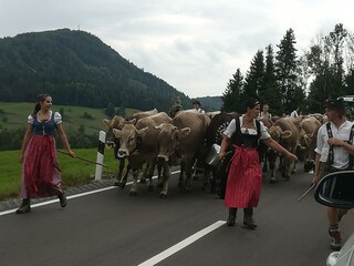 Almabtrieb im September