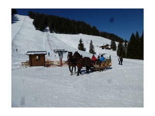 Pferdeschlitten am Hochbühl