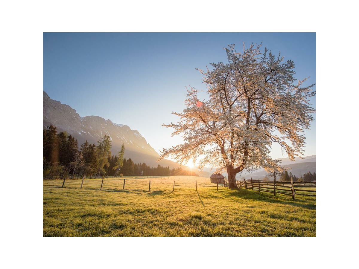 Frühling-Grimming