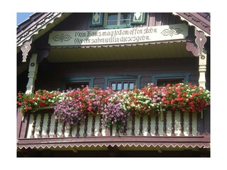 Blumenpracht im Ferienhaus Tschernitz