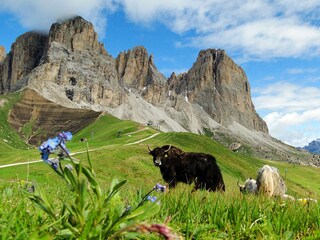 Appartamento Wolkenstein in Gröden Ambiente 18