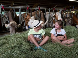 Kainreiterhof  - Urlaub am Bauernhof