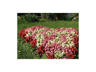 Blumenherz am Rapplhof