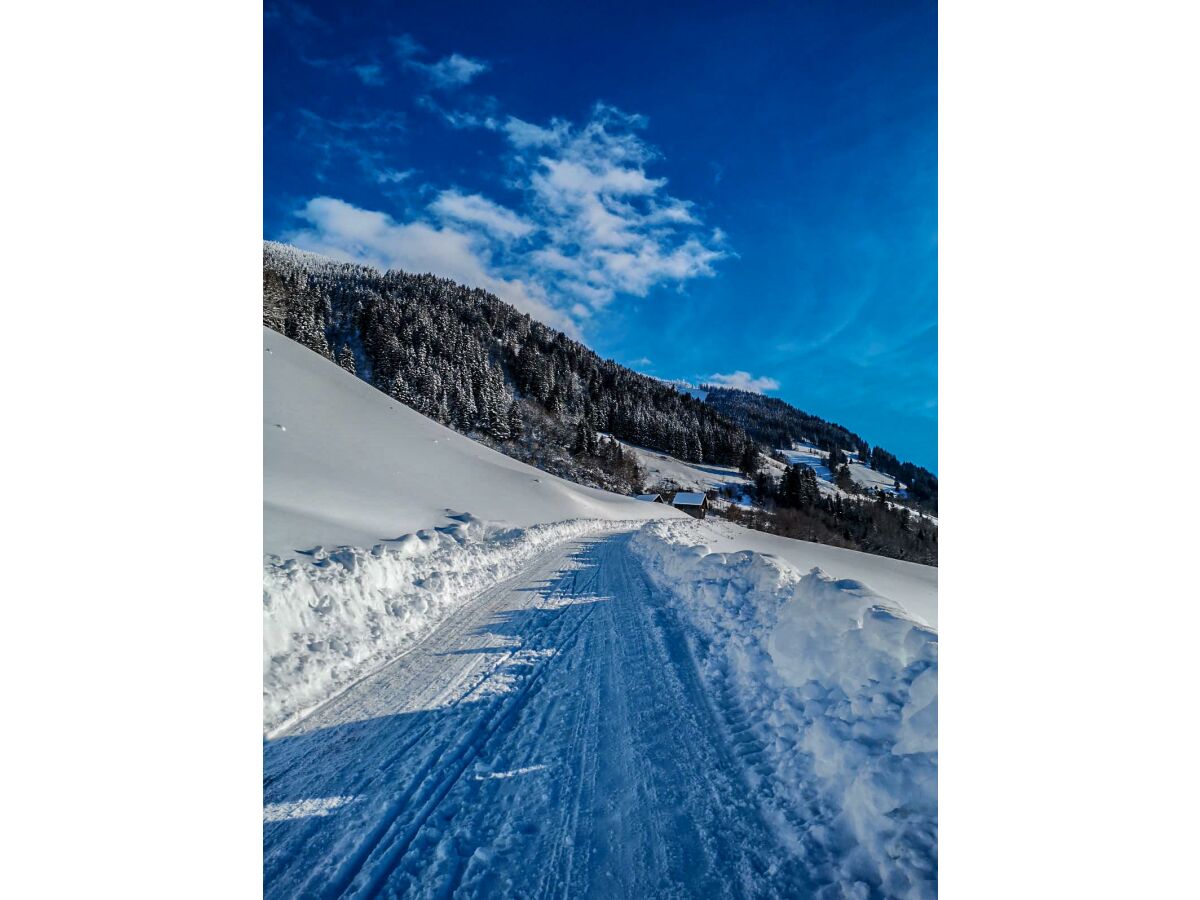 Winter am Moarbergerhof