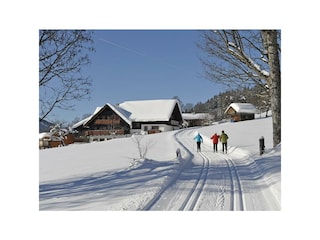 Langlaufloipe führt direkt am Hof vorbei.