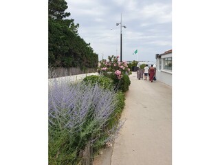 Casa per le vacanze La Tranche-sur-Mer Ambiente 28