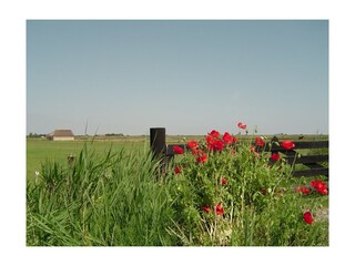 Appartamento per vacanze Den Burg Ambiente 15