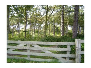 Appartamento per vacanze Den Burg Ambiente 16