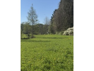 Holiday apartment Fränkische Schweiz Environment 36