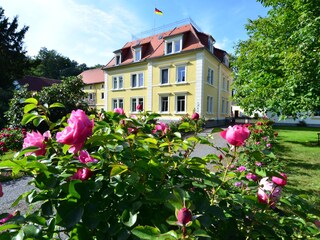Rosenduft