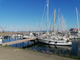 Ferienwohnung Damp Außenaufnahme 9