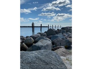 Ferienwohnung Damp Umgebung 26