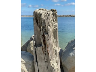 Ferienwohnung Damp Umgebung 28