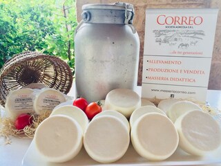 FARM AND FRESH CHEESES EVERY DAY