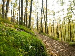 Wandern - Copyright RPT GmbH