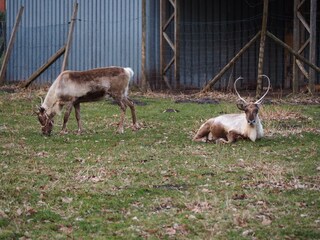 Casa per le vacanze Wardenburg Ambiente 22