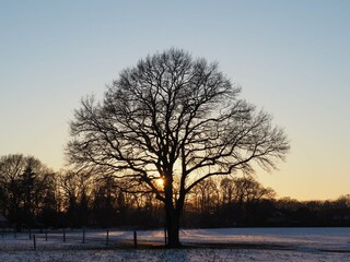Casa per le vacanze Wardenburg Ambiente 23