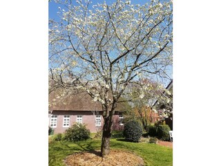 Casa per le vacanze Wardenburg Ambiente 25