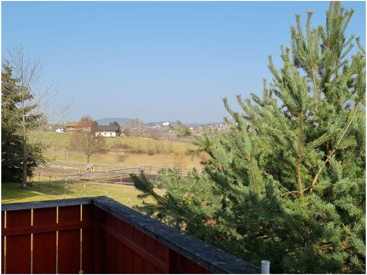 mit Blick aufs Storchennest im Baum sind die Eichhörnch