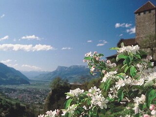 Appartamento Partschins Ambiente 6