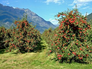 Appartamento Partschins Ambiente 16