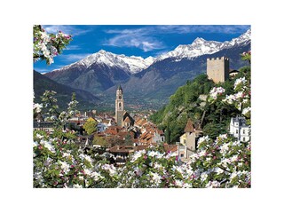 Meran im Blütenmeer