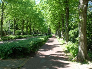 Casa per le vacanze Bergen (Holland) Ambiente 22